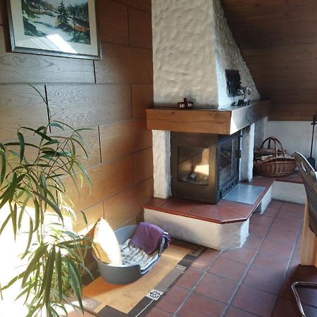 Aussergewoehnliche Atelierferienwohnung Mit Balkon An Der Donau Winzer Esterno foto