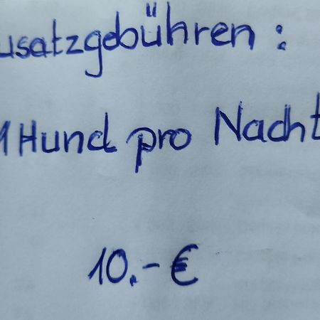 Aussergewoehnliche Atelierferienwohnung Mit Balkon An Der Donau Winzer Esterno foto