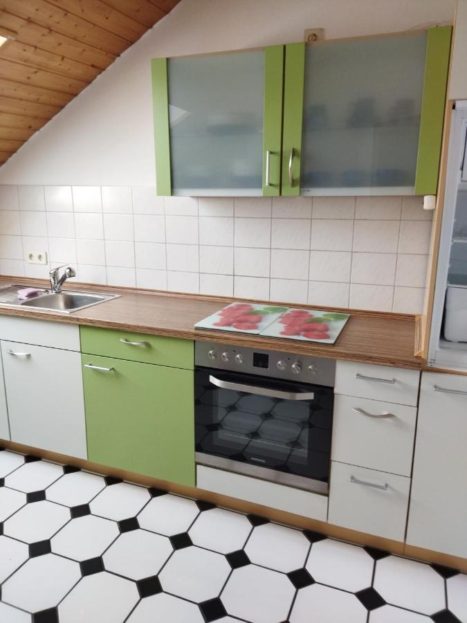 Aussergewoehnliche Atelierferienwohnung Mit Balkon An Der Donau Winzer Esterno foto