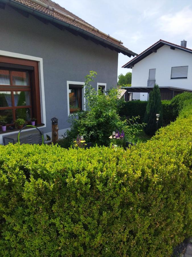 Aussergewoehnliche Atelierferienwohnung Mit Balkon An Der Donau Winzer Esterno foto