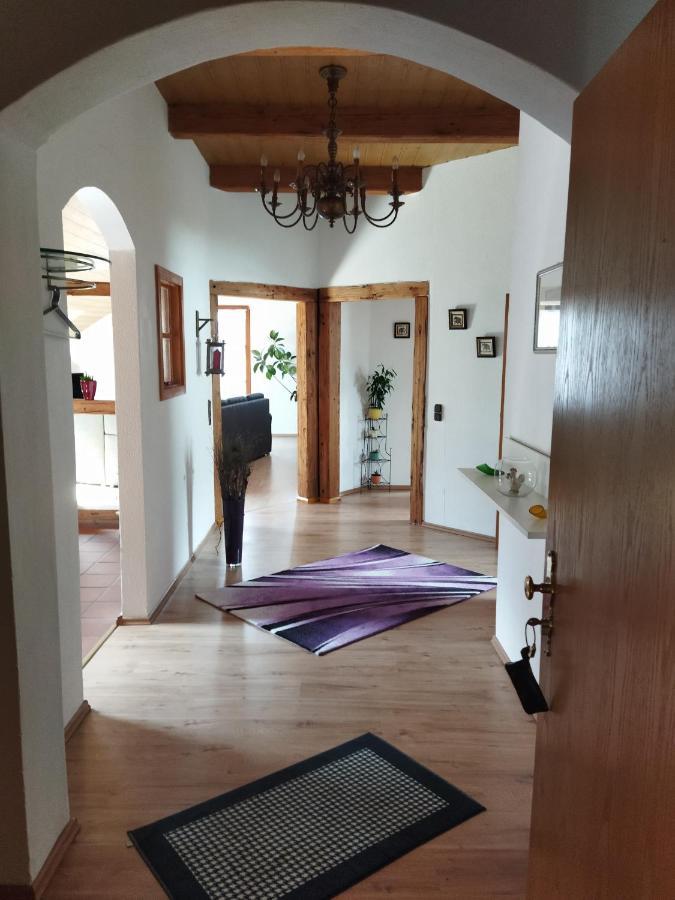 Aussergewoehnliche Atelierferienwohnung Mit Balkon An Der Donau Winzer Esterno foto