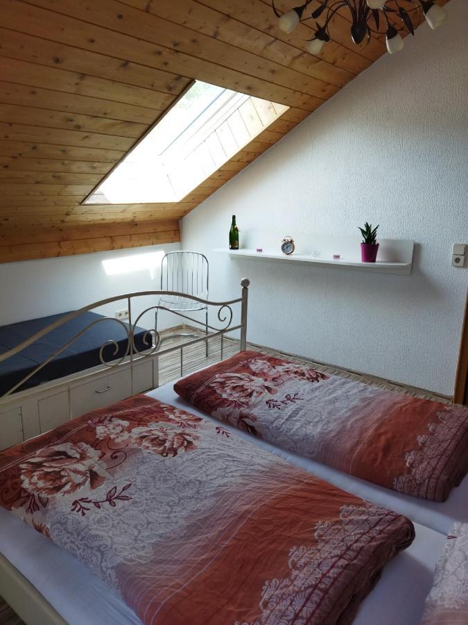 Aussergewoehnliche Atelierferienwohnung Mit Balkon An Der Donau Winzer Esterno foto
