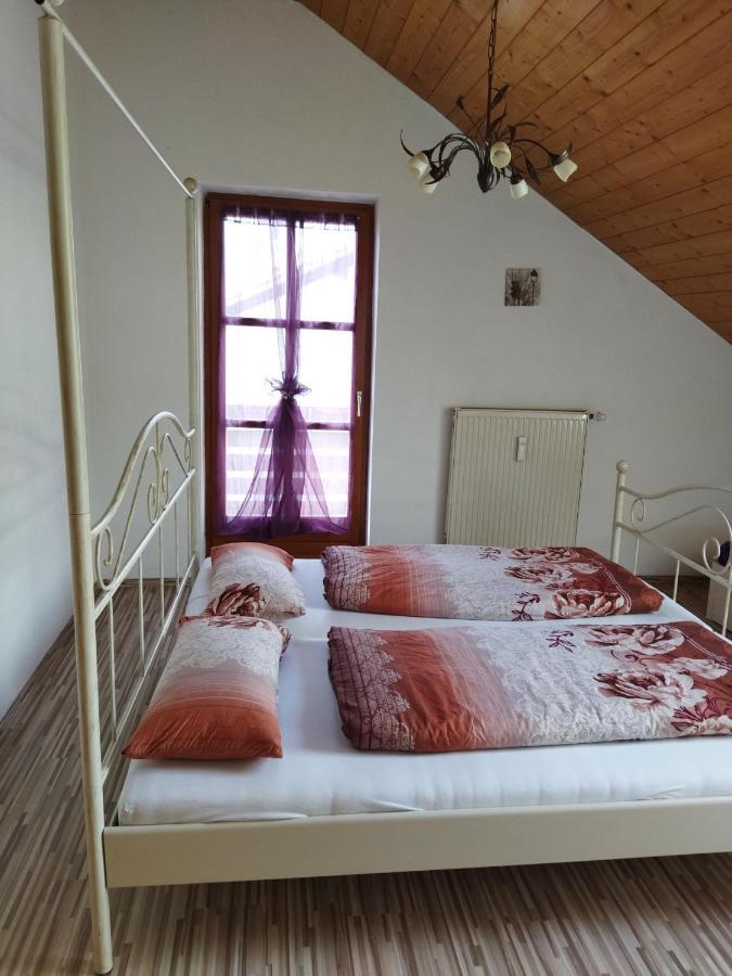 Aussergewoehnliche Atelierferienwohnung Mit Balkon An Der Donau Winzer Esterno foto