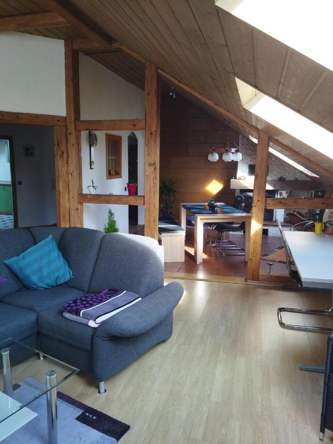 Aussergewoehnliche Atelierferienwohnung Mit Balkon An Der Donau Winzer Esterno foto
