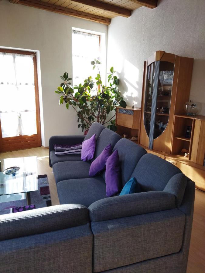 Aussergewoehnliche Atelierferienwohnung Mit Balkon An Der Donau Winzer Esterno foto