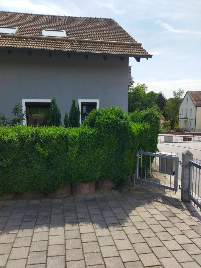 Aussergewoehnliche Atelierferienwohnung Mit Balkon An Der Donau Winzer Esterno foto