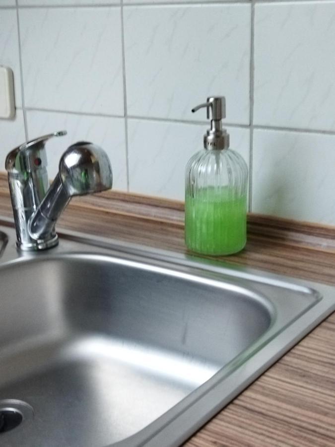 Aussergewoehnliche Atelierferienwohnung Mit Balkon An Der Donau Winzer Esterno foto