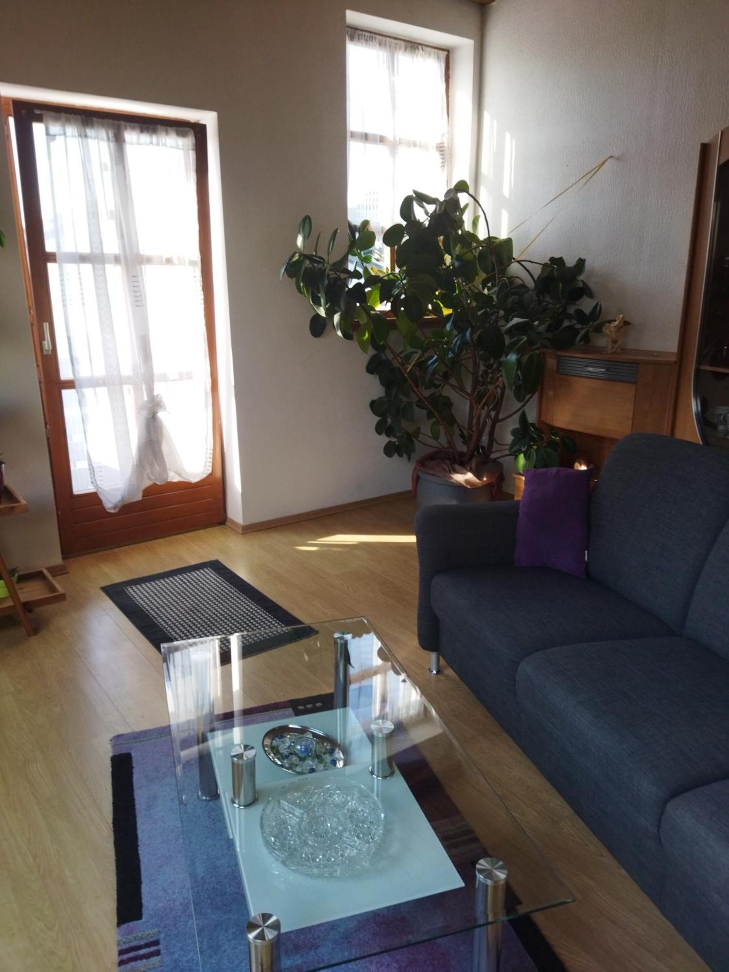 Aussergewoehnliche Atelierferienwohnung Mit Balkon An Der Donau Winzer Esterno foto
