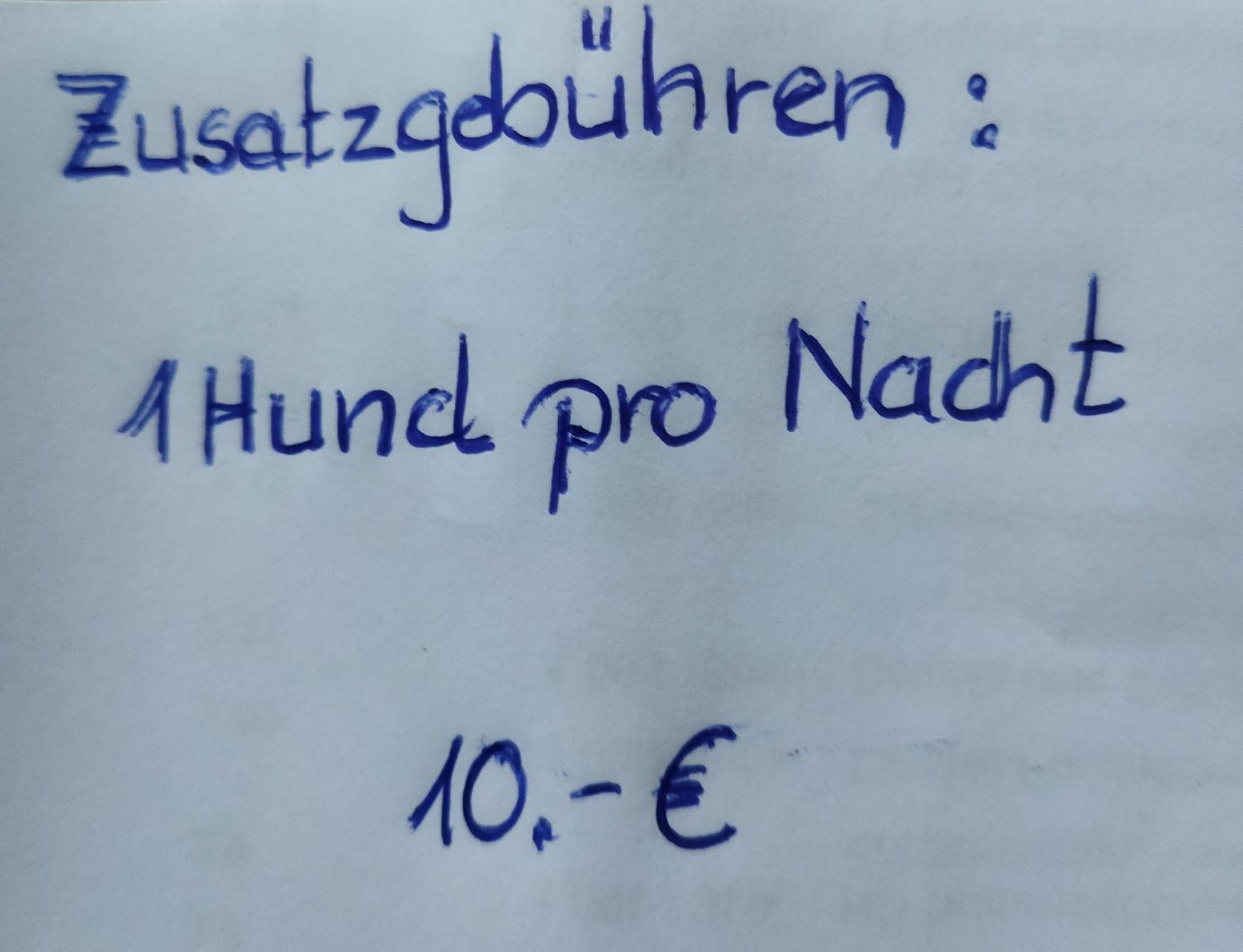 Aussergewoehnliche Atelierferienwohnung Mit Balkon An Der Donau Winzer Esterno foto